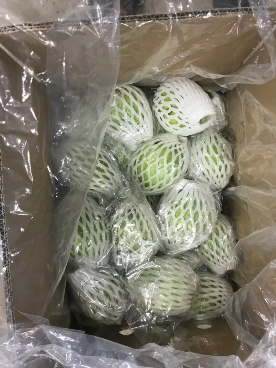 Custard apple