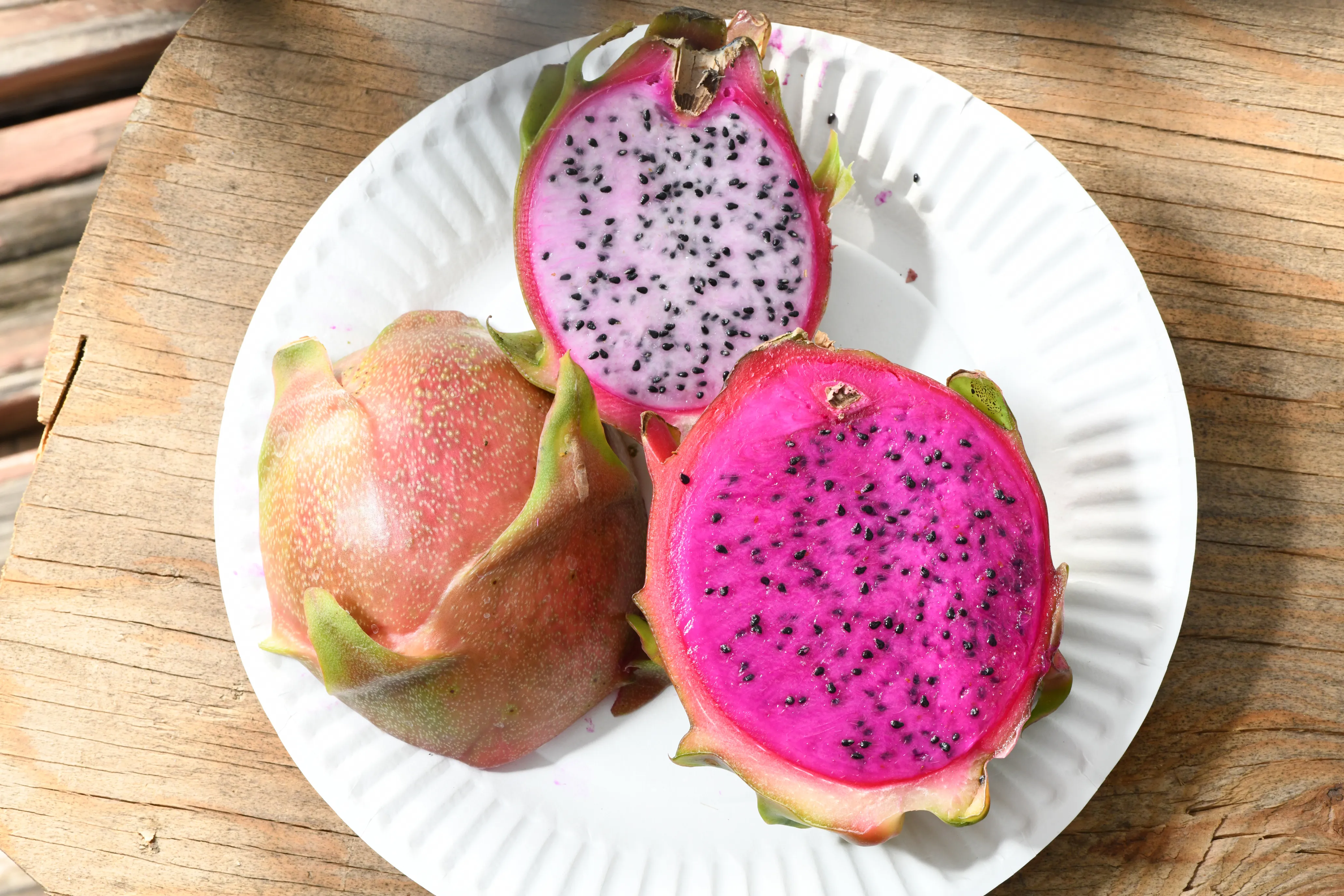 Dragon fruit