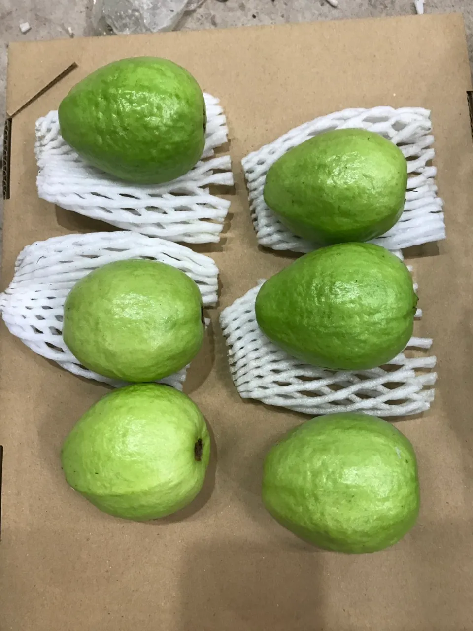 Guava
