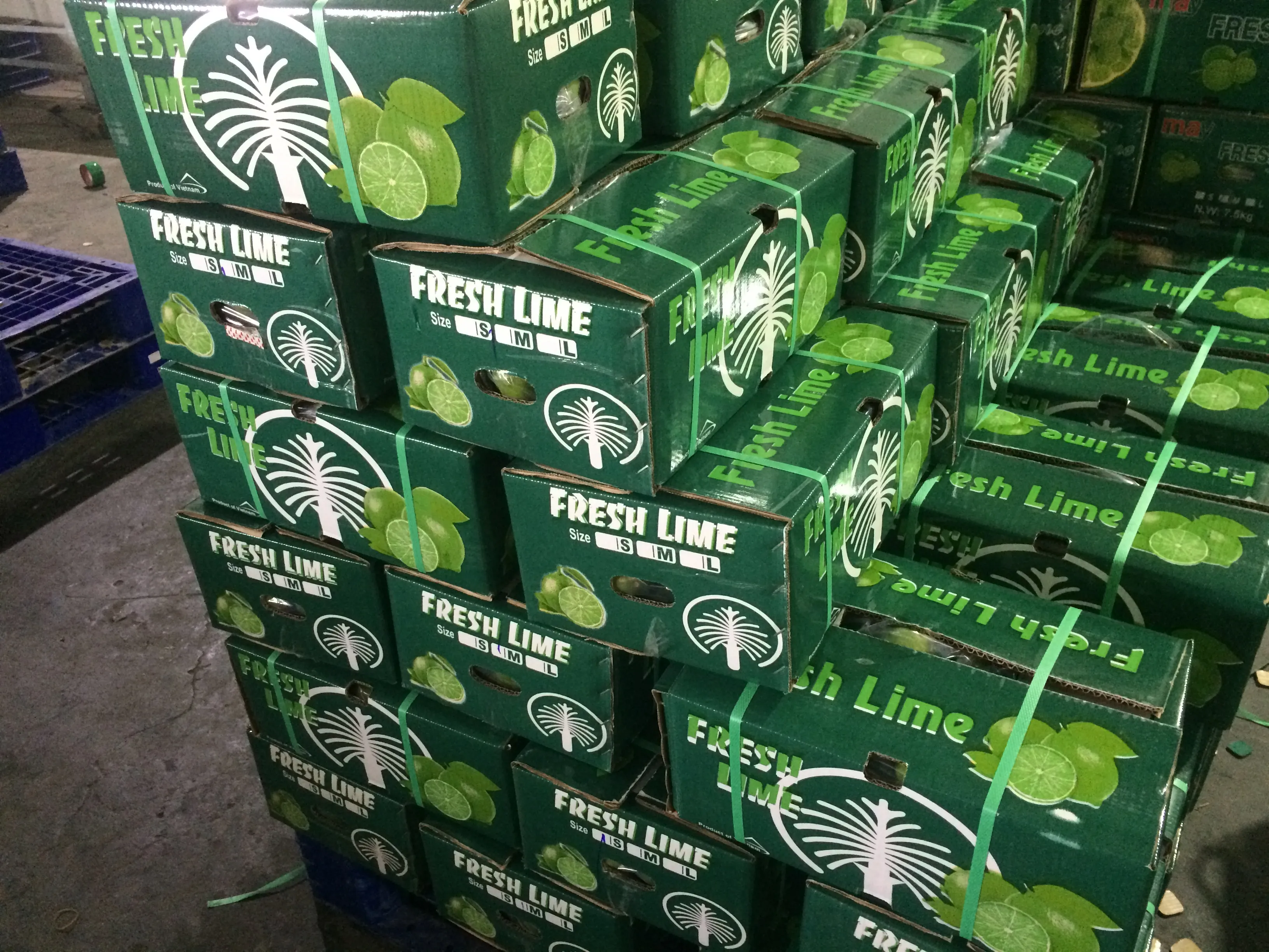 Export cartons of fresh lime, packed for shipment from Vietnam