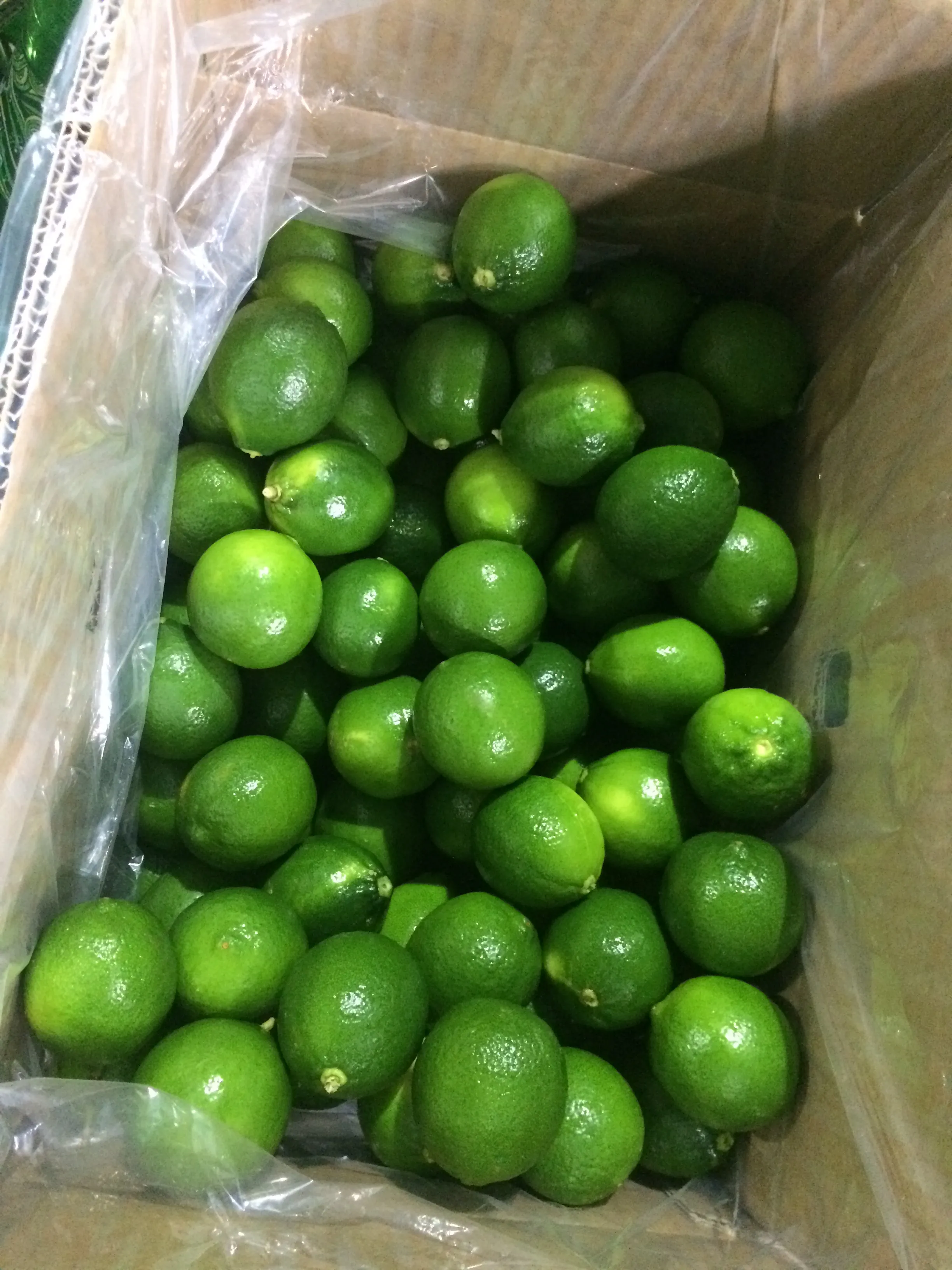 Lime