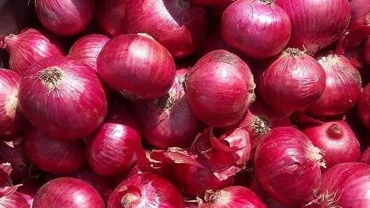 Red onion